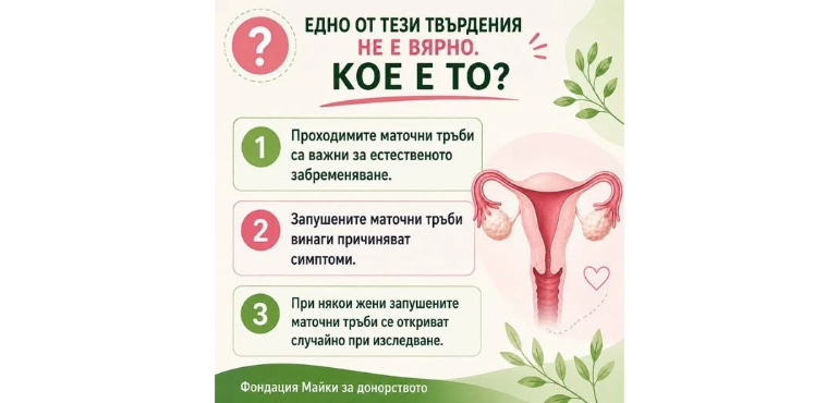 Игра #Информация на фондация „Майки за донорството“